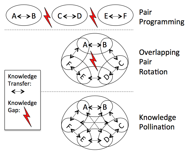 Pollination is not only valid at team level. Masters must reach out to juniors to pass on bits of knowledge.